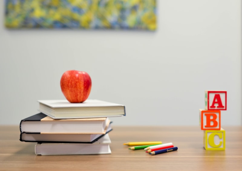 Differenziazione Didattica Agazzi per Insegnanti  di scuola  Primaria e  dell'Infanzia